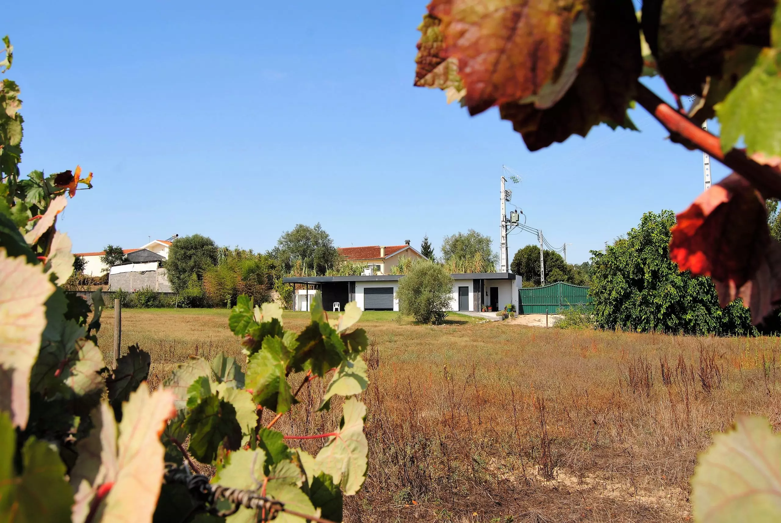 Coimbra, PORTUGAL – Farm with a vineyard, fruit trees and agriculture, new construction and warehouse