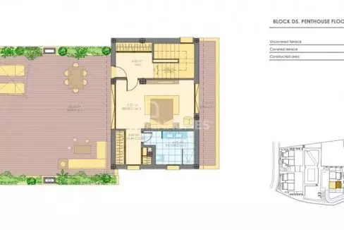 Image (14)