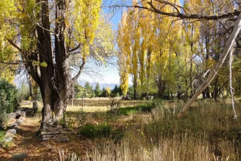 foto campo 11