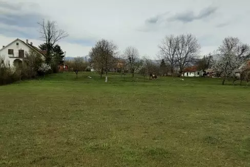 20220419_155810