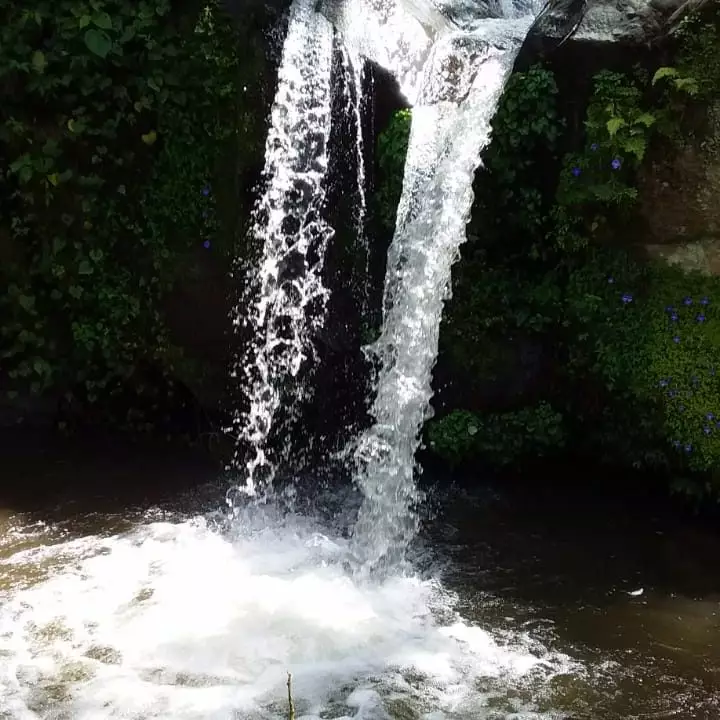 Catarata