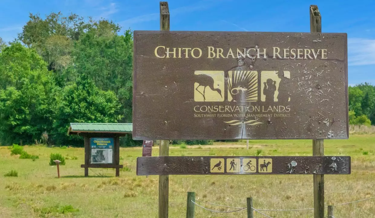 45-web-or-mls-Chito Branch Reserve (8) - Copy