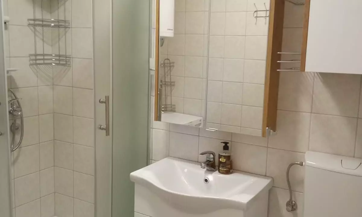 6 Flat Juhorska bathroom full