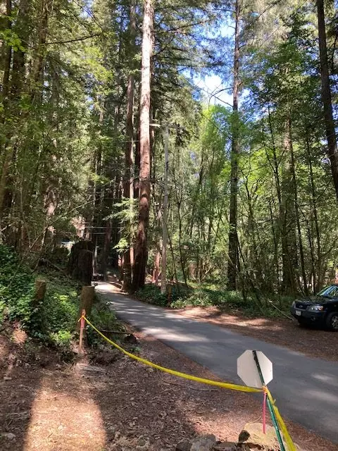 4 Acres in the Redwood Forest Sonoma County Approved Plans Ready To Build ICF Construction Home Contractor All Set to go!