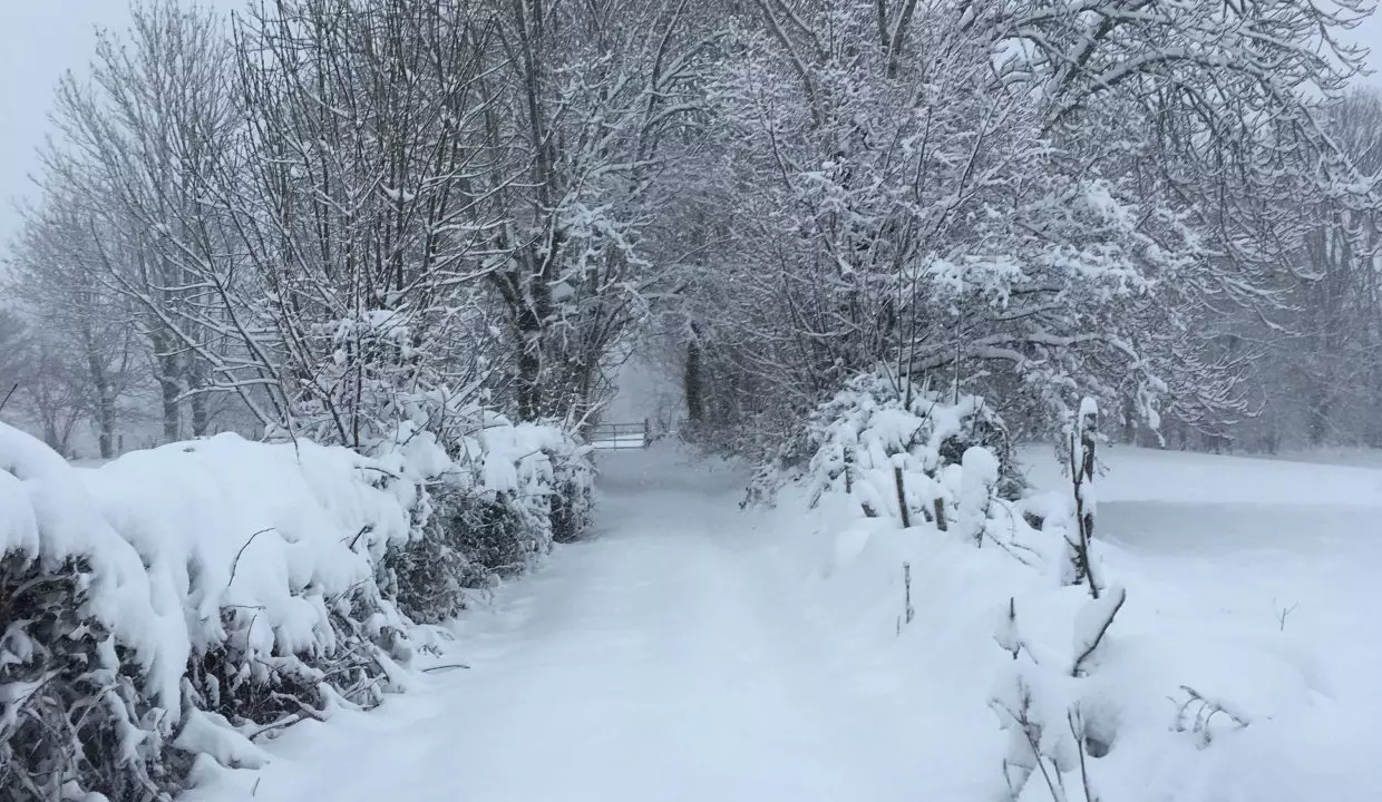 House Share Snowy Terrain