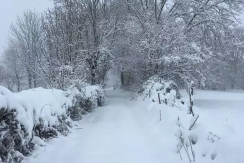 House Share Snowy Terrain