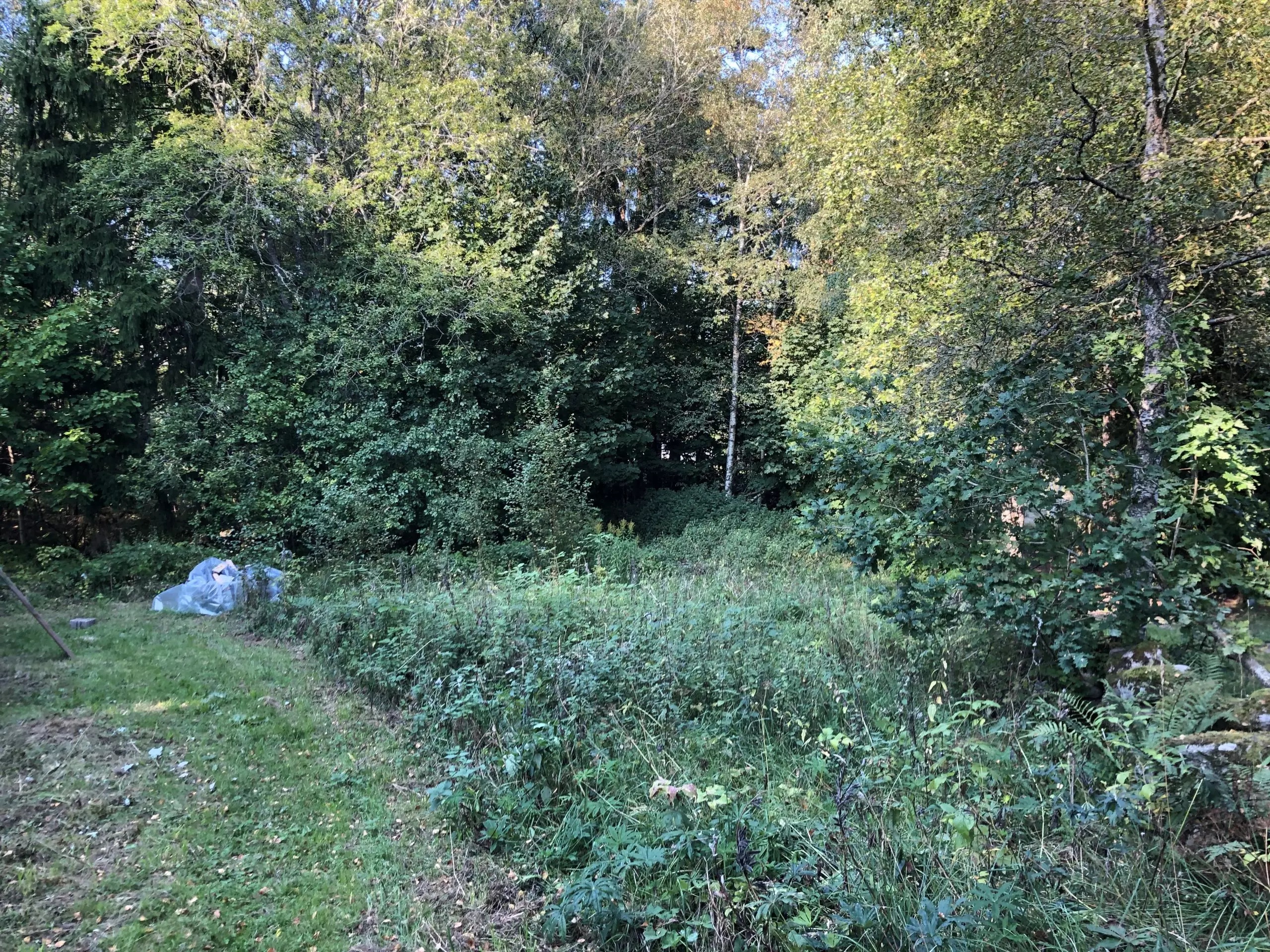 Lot in prime location in Sweden