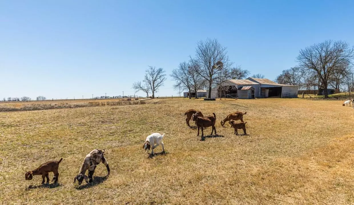 19 Ranch land Farm land for sale in Texas near me in Dallas Texas Fort Worth Texas Hill County Texas Abbott