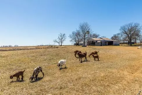 19 Ranch land Farm land for sale in Texas near me in Dallas Texas Fort Worth Texas Hill County Texas Abbott