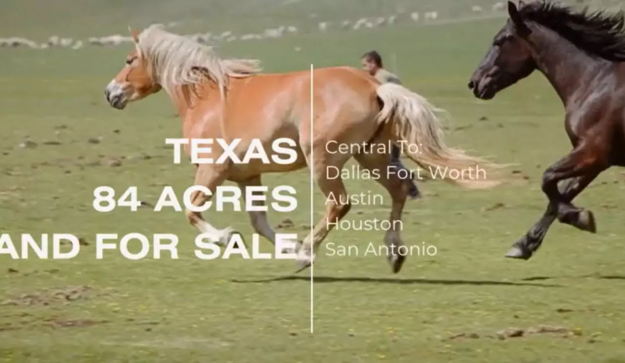 Dallas Fort Worth Tx Land for sale Texas Land for sale TX farm and ranch land for sale waxahachie waco abbott near me