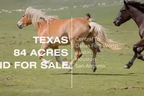 Dallas Fort Worth Tx Land for sale Texas Land for sale TX farm and ranch land for sale waxahachie waco abbott near me