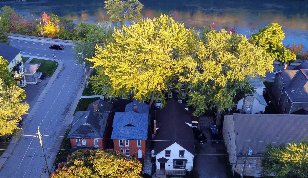 Drone_Shot_Neighbourhood_Oct_13_2022