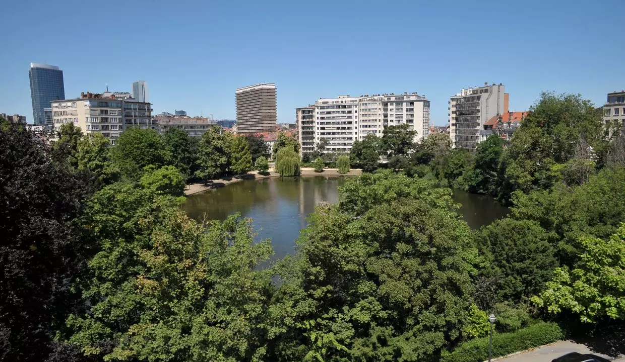 8. View on the Lake