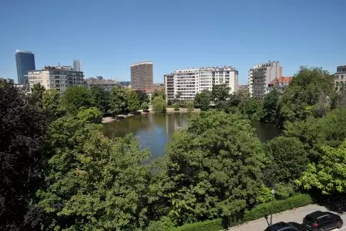 8. View on the Lake