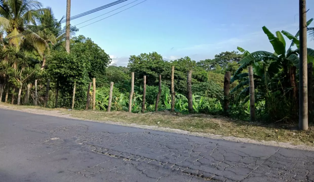 Pic3