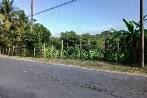 Pic3