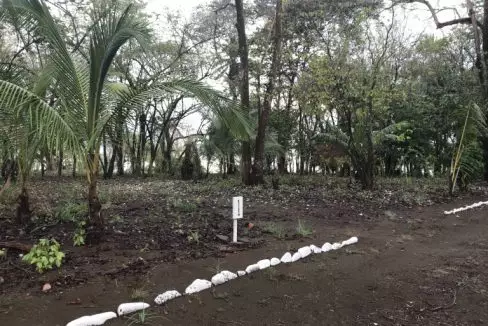 lot-1