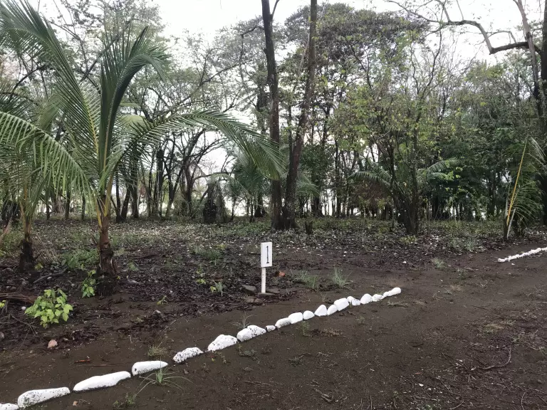 lot-1
