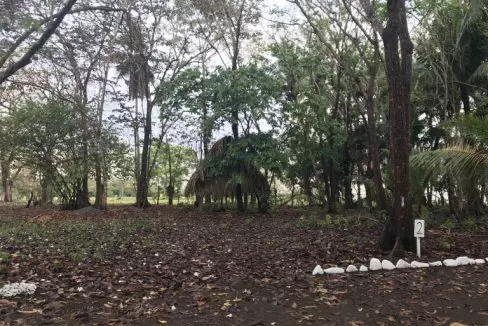 lot-2