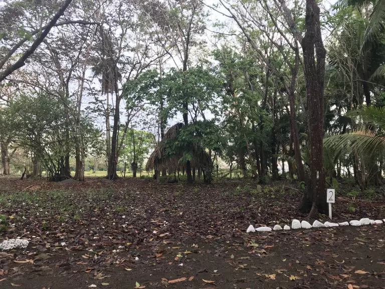 lot-2