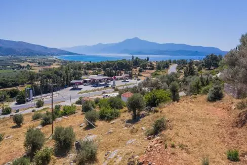 mesokampos3