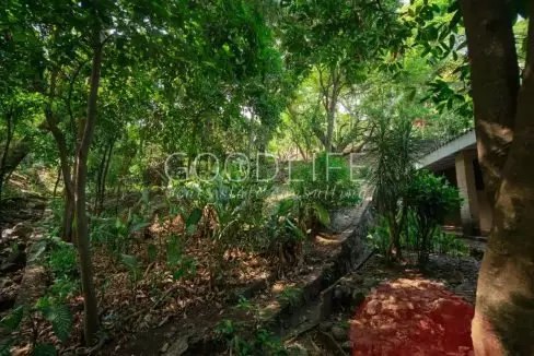 xanadu-lot-for-sale-el-salvador-5-1024x683