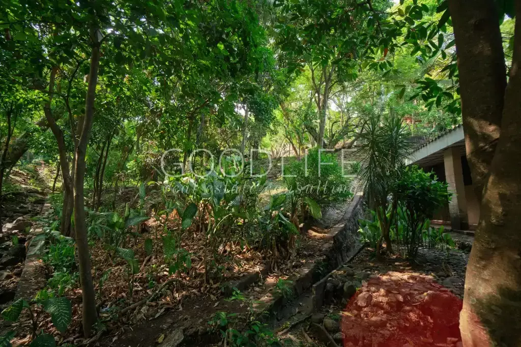 xanadu-lot-for-sale-el-salvador-5-1024x683