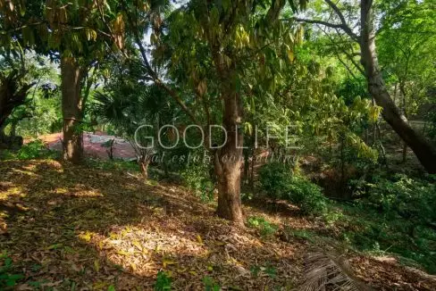 xanadu-lot-for-sale-el-salvador-7-1024x683