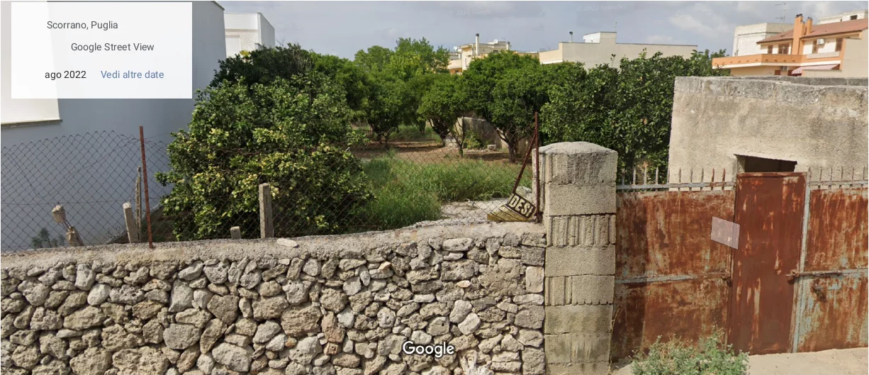 Capture Streetview