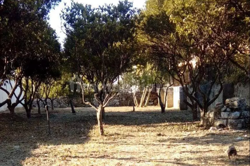 Terreno Scorrano