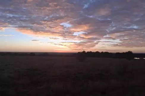 20250603_065031