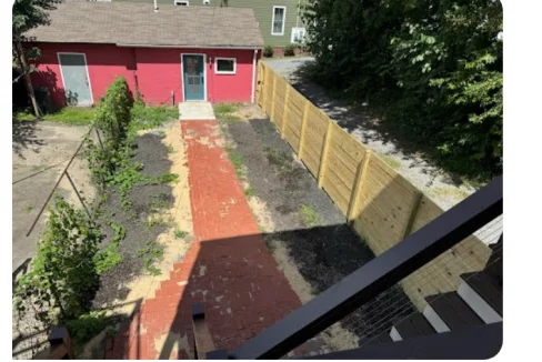 Backyard Weeds