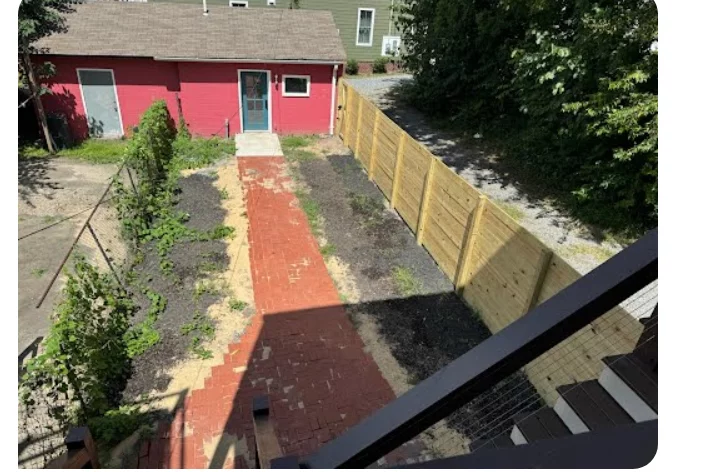 Backyard Weeds