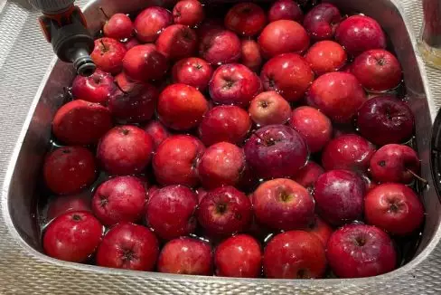 2181F67A-C219-4EA0-A0DA-9EF5685D00E4_1_105_c