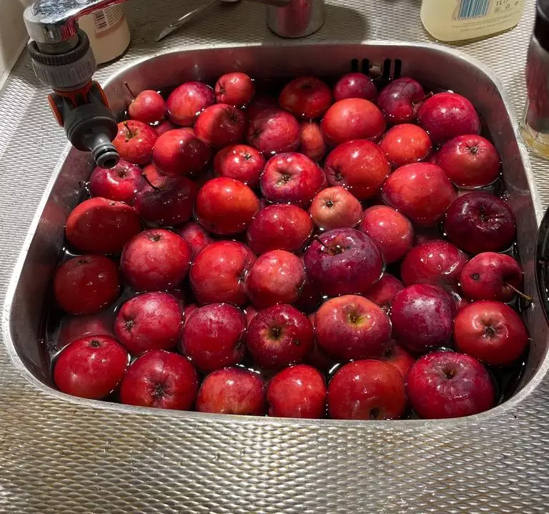 2181F67A-C219-4EA0-A0DA-9EF5685D00E4_1_105_c