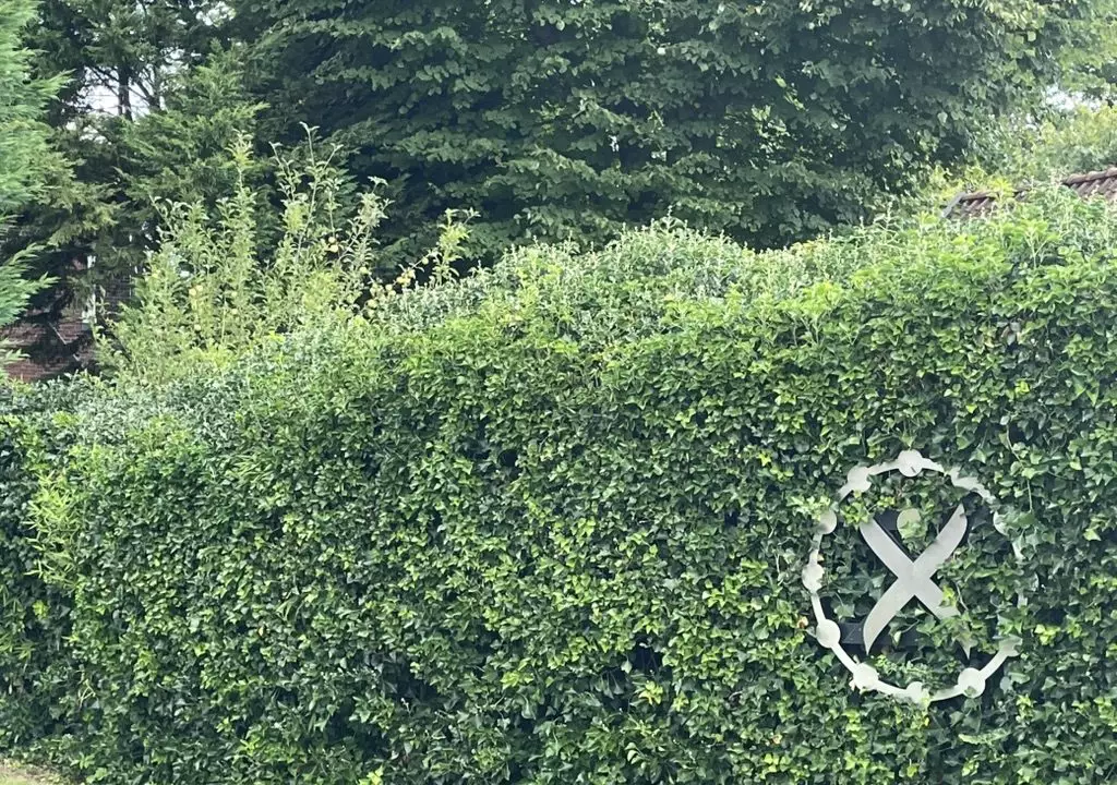 68027B0C-21AC-49E7-B2C3-70495CA058C9_1_105_c