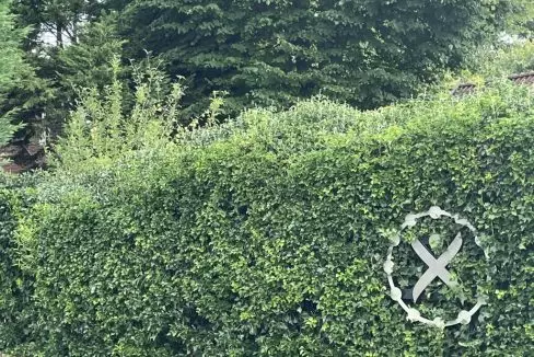 68027B0C-21AC-49E7-B2C3-70495CA058C9_1_105_c