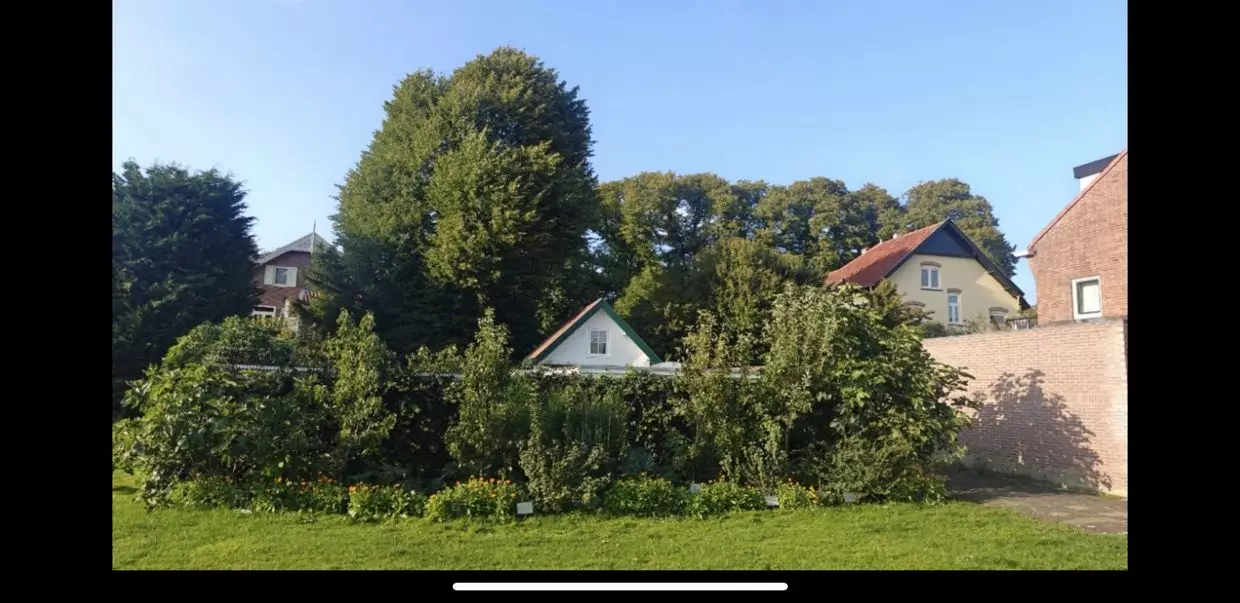 68A8705B-9630-44E3-BACB-E18FC67557B1_1_105_c