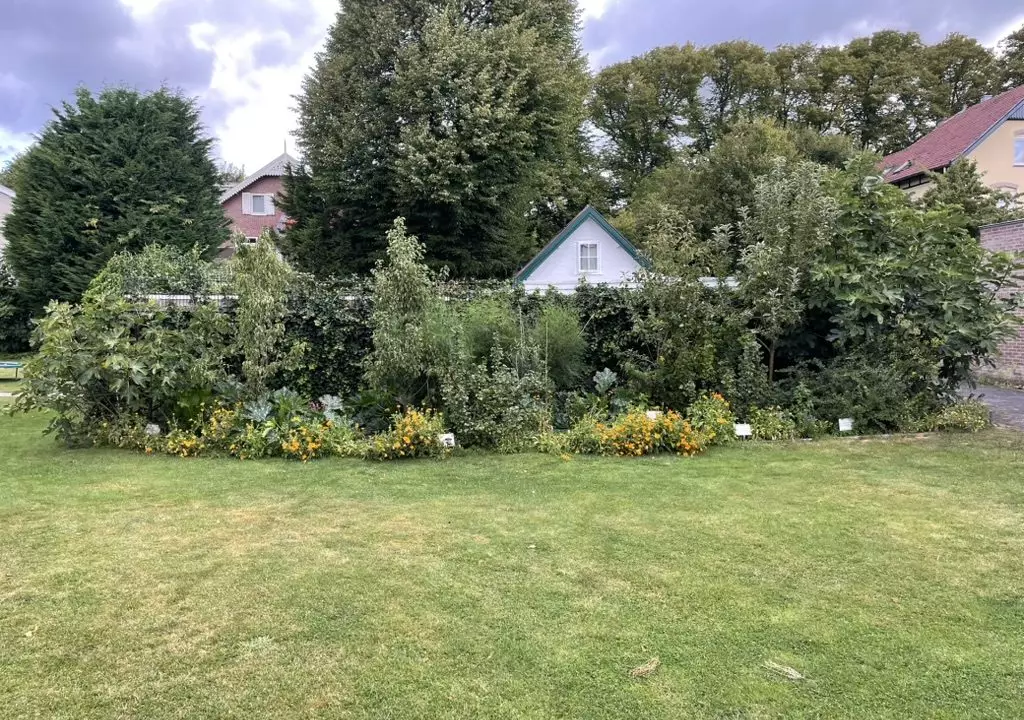 C328DADF-D6DC-487E-BF3B-455807579BCA_1_105_c