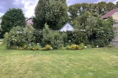 C328DADF-D6DC-487E-BF3B-455807579BCA_1_105_c