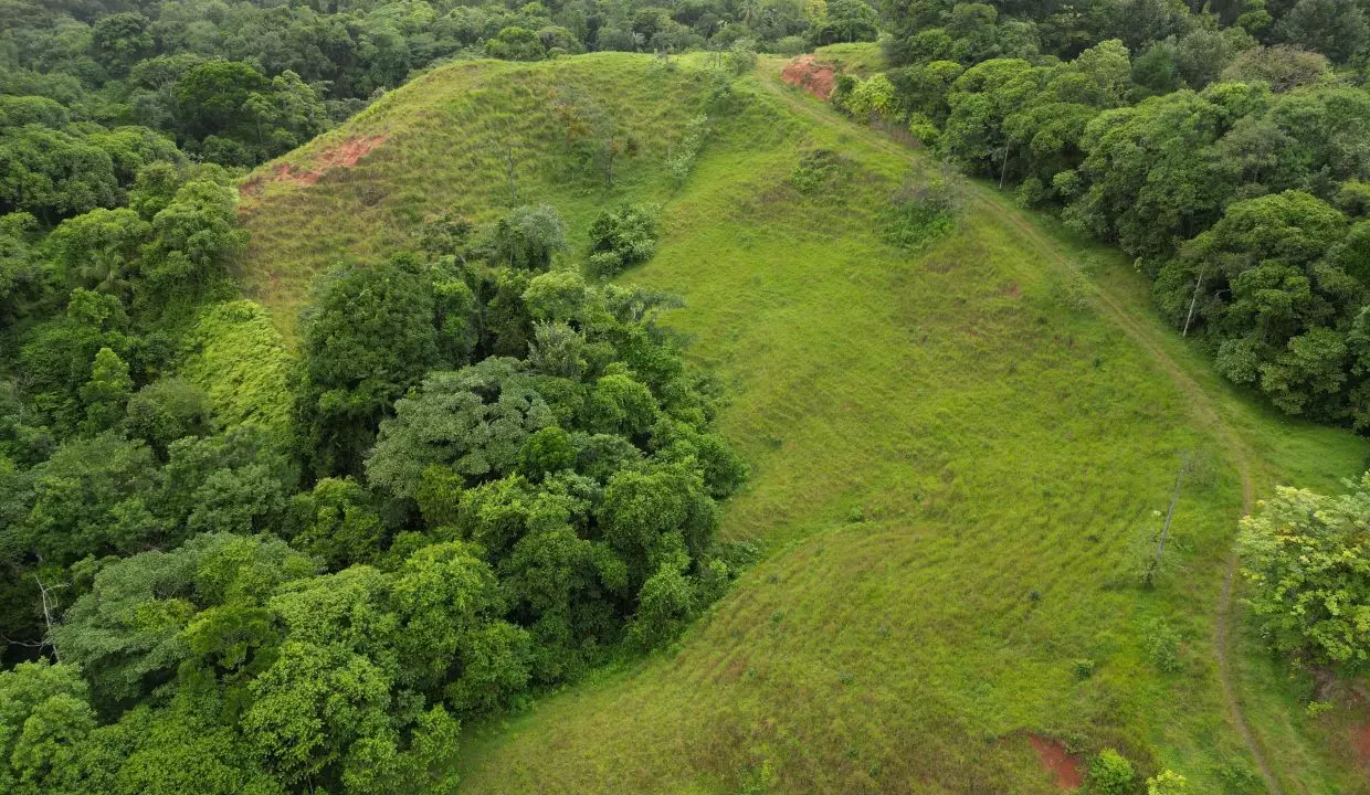 Montebello from Air 2
